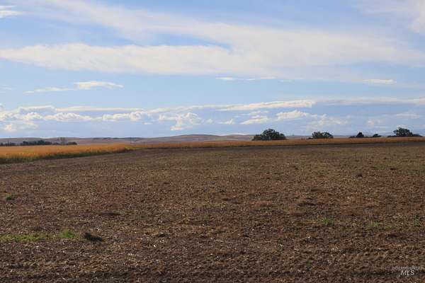 61.8 Acres of Agricultural Land with Home for Sale in Ontario, Oregon