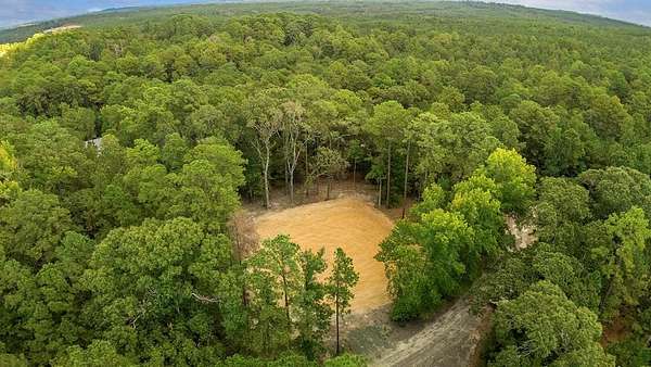 0.6 Acres of Residential Land for Sale in Brookeland, Texas