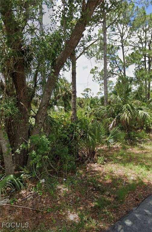 0.25 Acres of Residential Land for Sale in Lehigh Acres, Florida