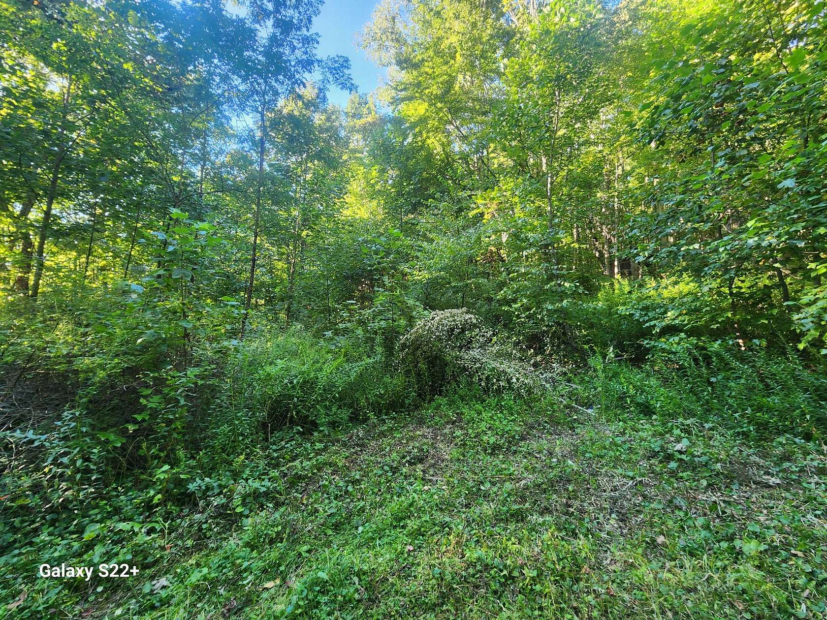 2 Acres of Land for Sale in Rupert, West Virginia