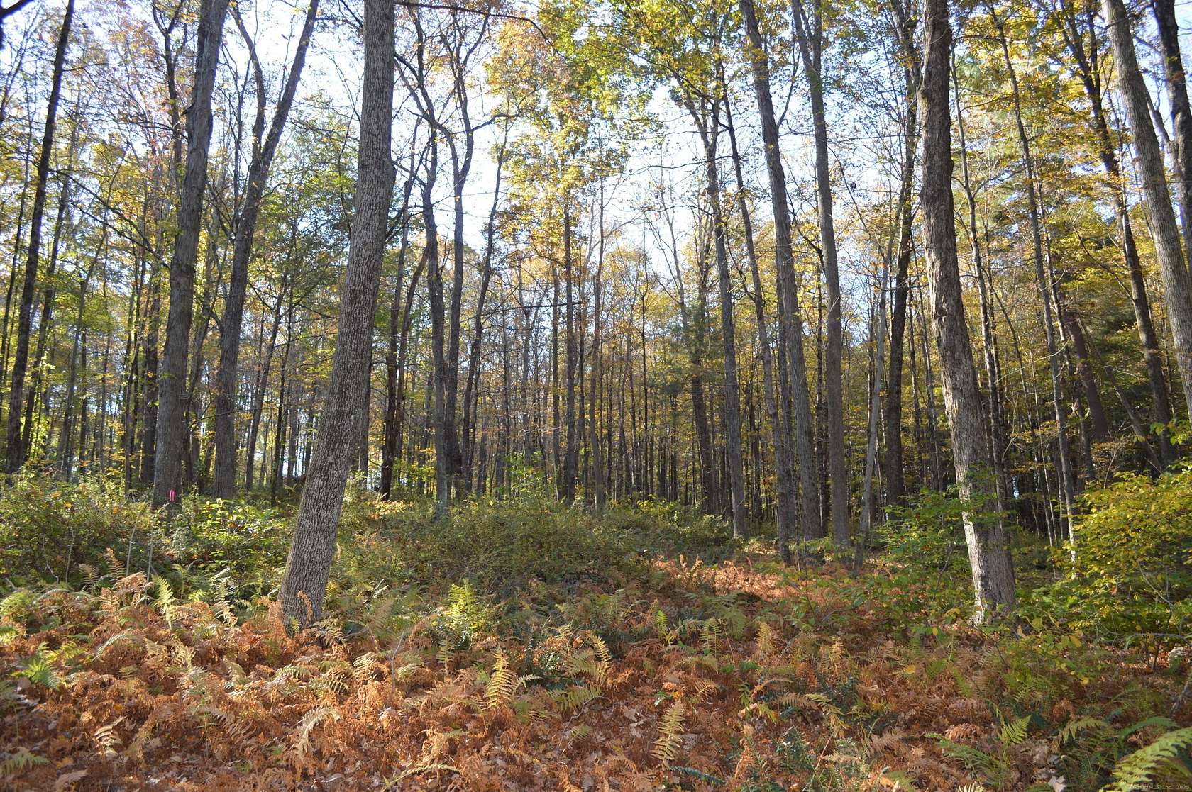 3.9 Acres of Residential Land for Sale in Woodstock, Connecticut