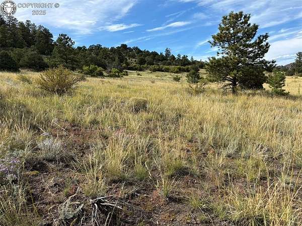 26.2 Acres of Recreational & Residential Land for Sale in Westcliffe, Colorado