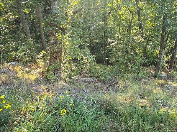 0.5 Acres of Residential Land for Sale in Gainesville, Georgia