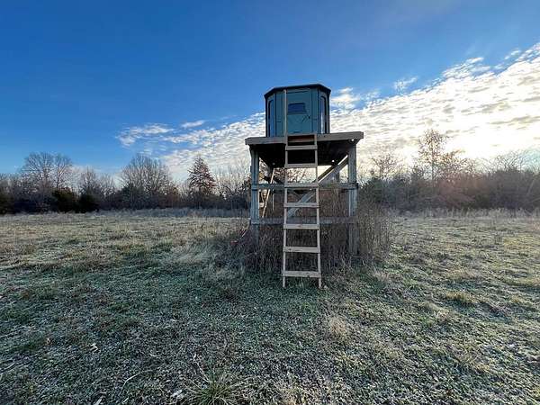 40.3 Acres of Recreational Land & Farm for Sale in Higbee, Missouri