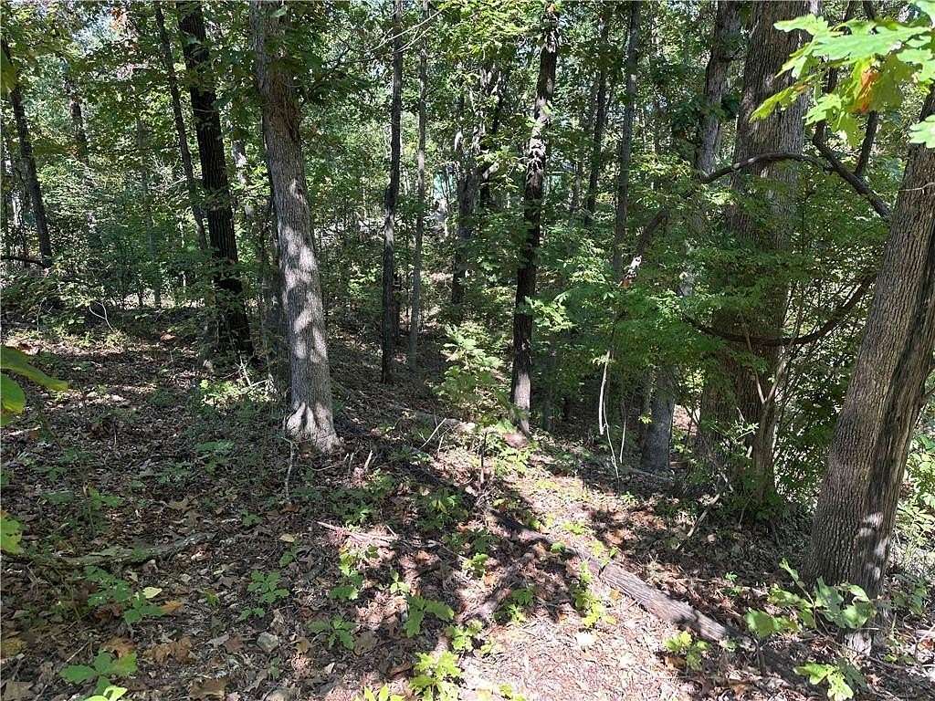 0.27 Acres of Land for Sale in Bella Vista, Arkansas