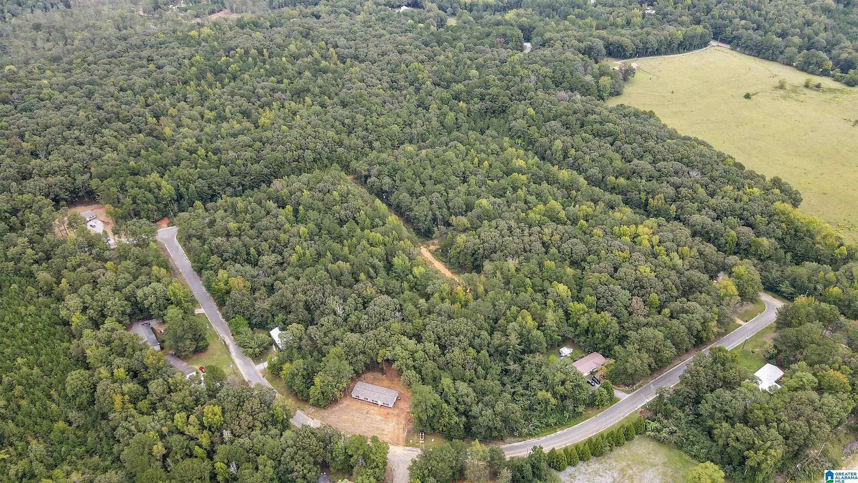 19.2 Acres of Land for Sale in Wilsonville, Alabama