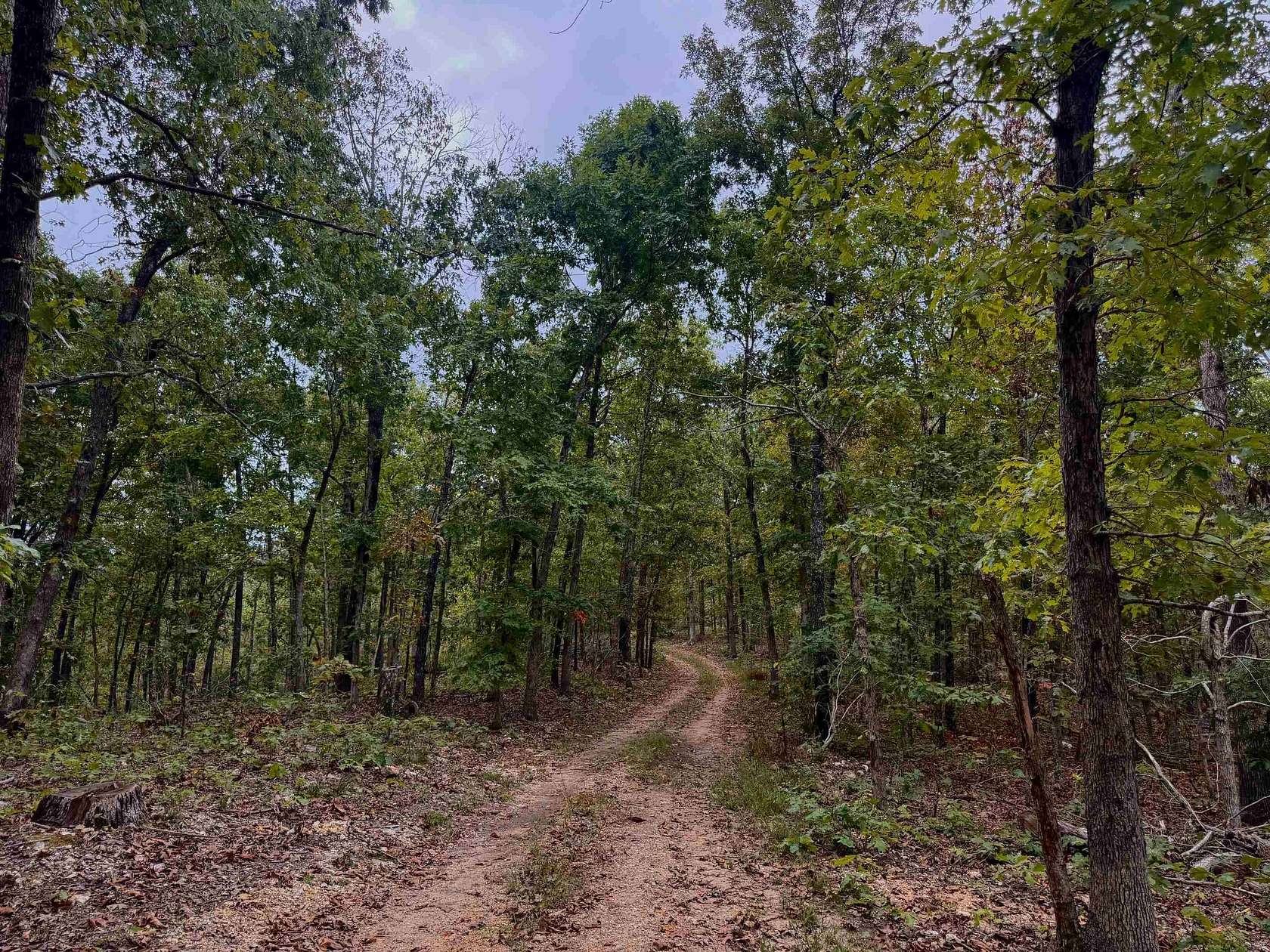 74 Acres of Recreational Land for Sale in Hardy, Arkansas