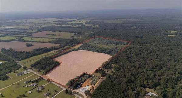 50.8 Acres of Land for Sale in Deville, Louisiana