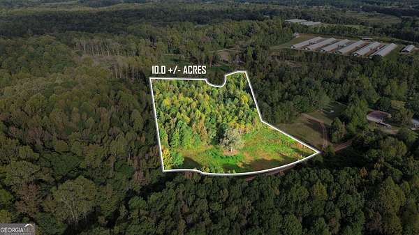 10 Acres of Recreational Land for Sale in Martin, Georgia