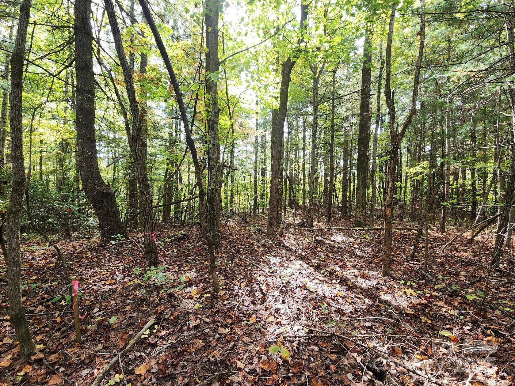 1.17 Acres of Residential Land for Sale in Zirconia, North Carolina