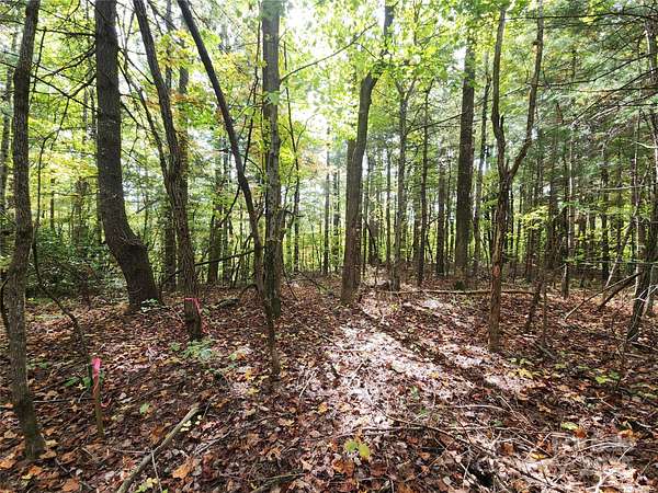 1.17 Acres of Residential Land for Sale in Zirconia, North Carolina