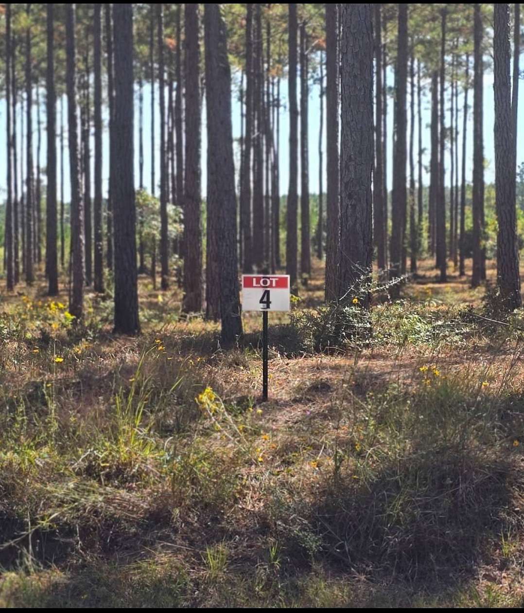 0.59 Acres of Land for Sale in Florien, Louisiana
