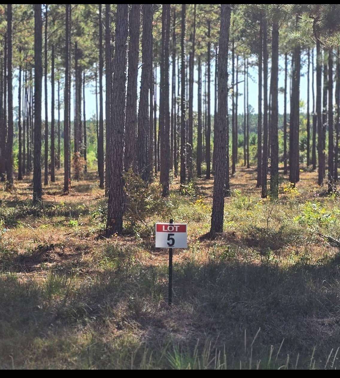 0.59 Acres of Land for Sale in Florien, Louisiana