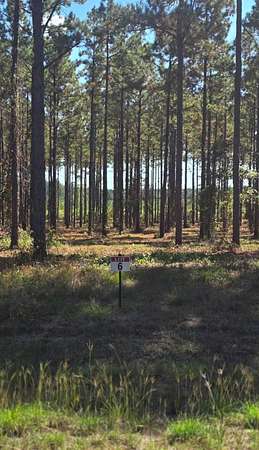 0.59 Acres of Residential Land for Sale in Florien, Louisiana