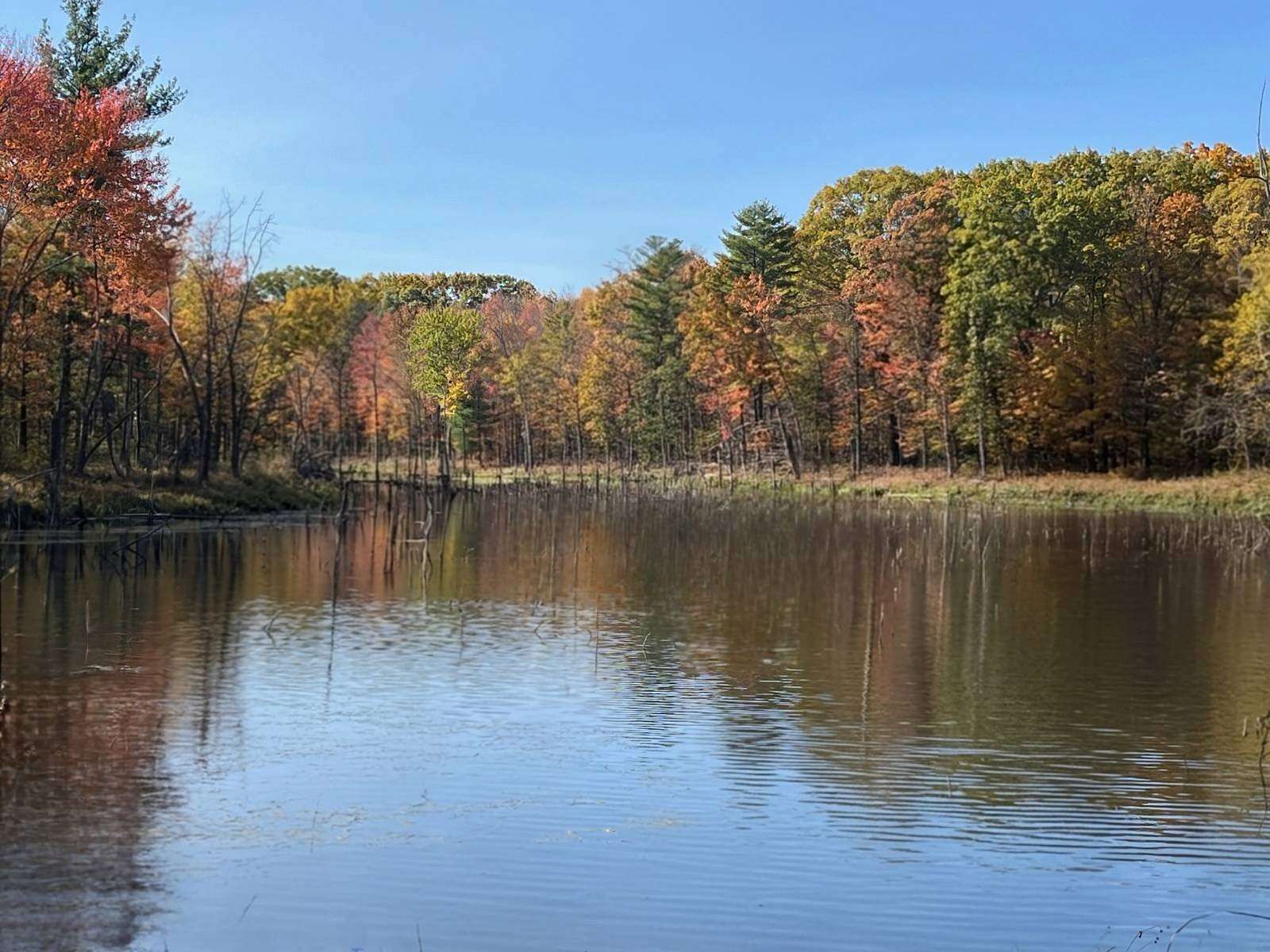 19.4 Acres of Land for Sale in Chatham, New York