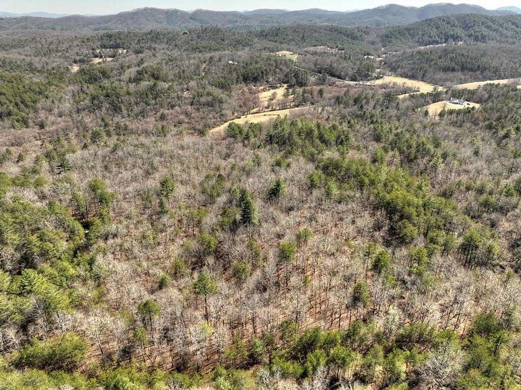 48.4 Acres of Land for Sale in Mineral Bluff, Georgia