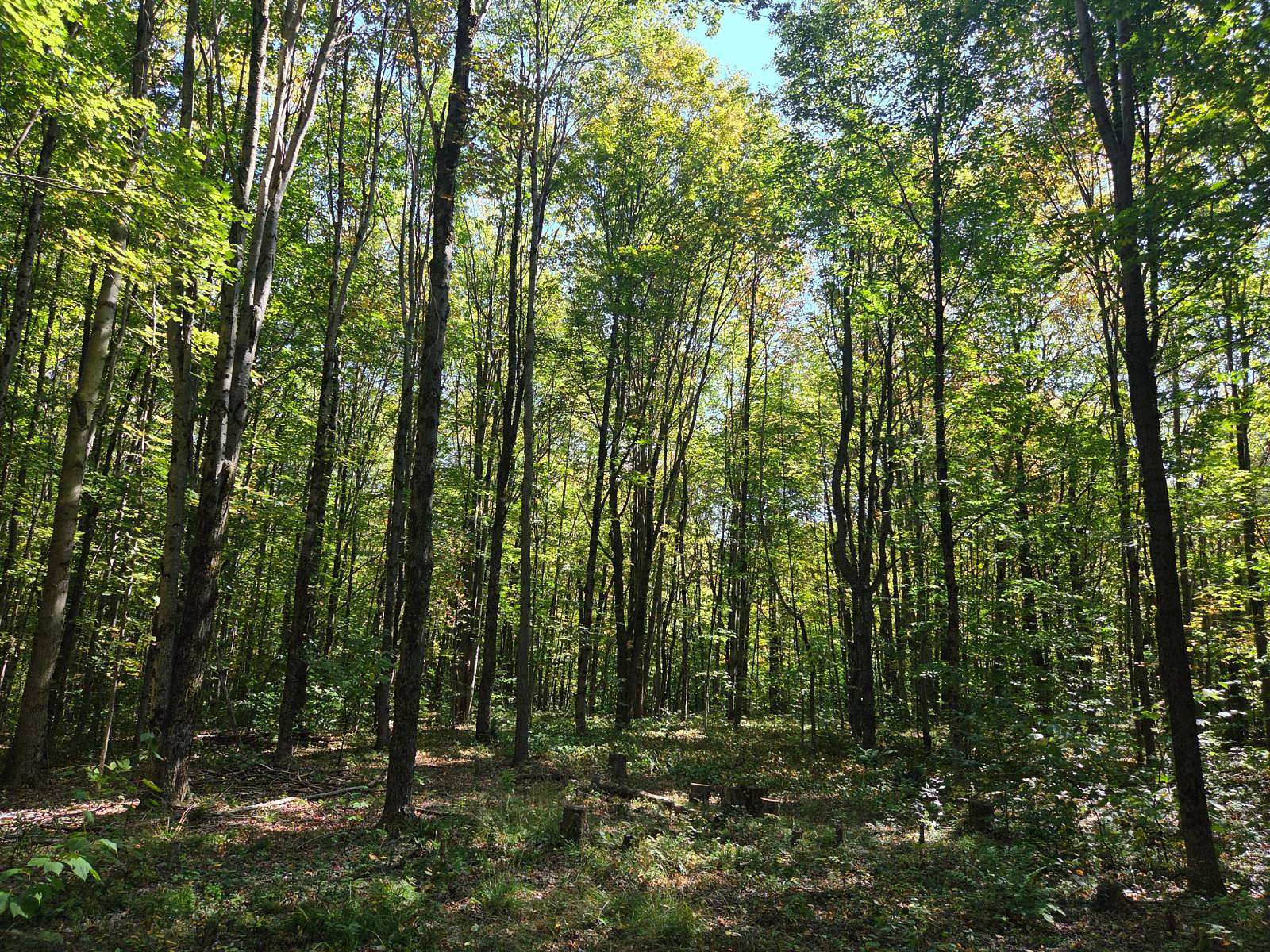 21.8 Acres of Recreational Land for Sale in Steuben, New York