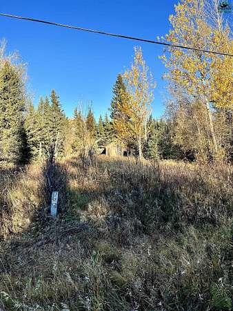 0.62 Acres of Residential Land for Sale in Delta Junction, Alaska