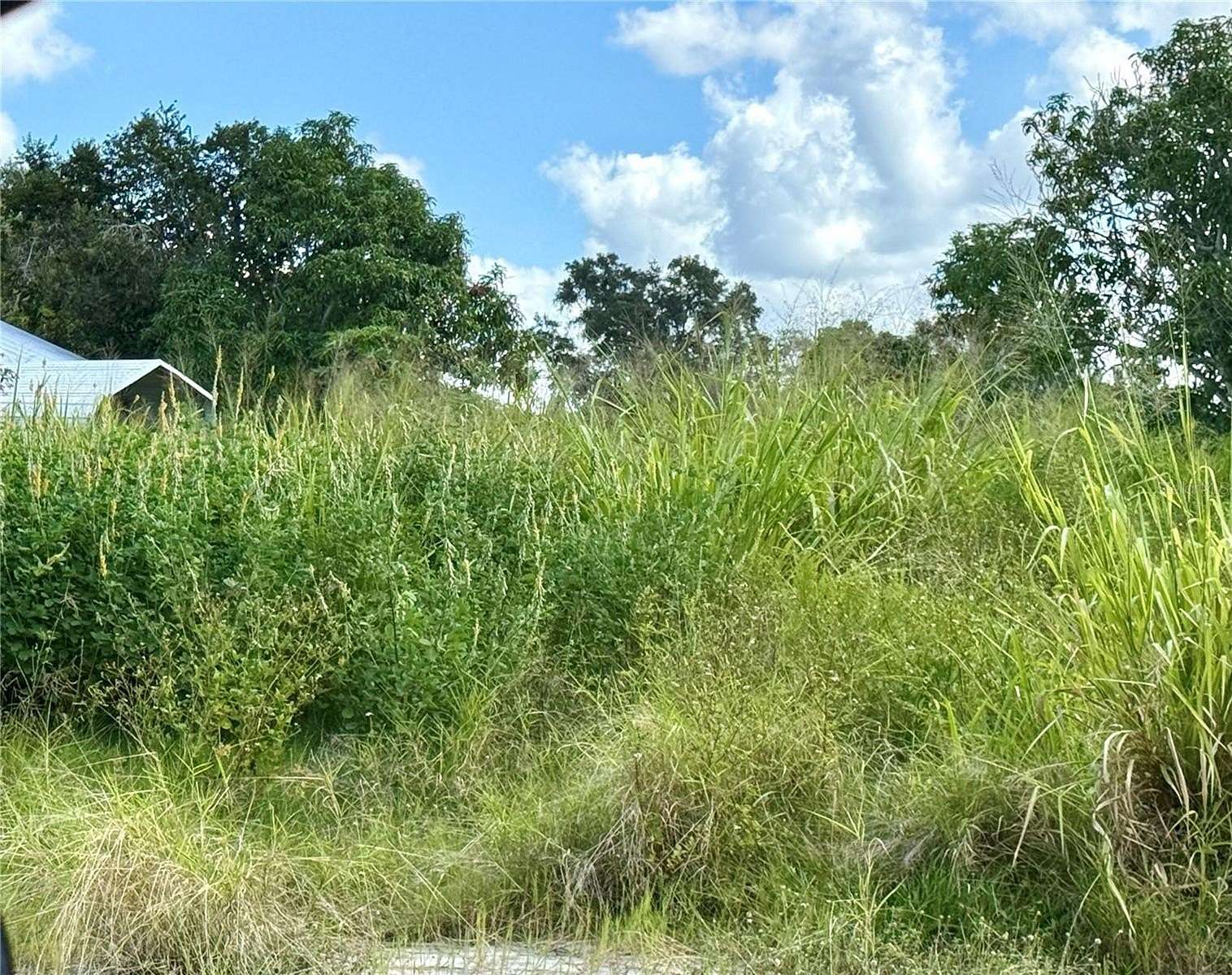0.26 Acres of Residential Land for Sale in Palmetto, Florida