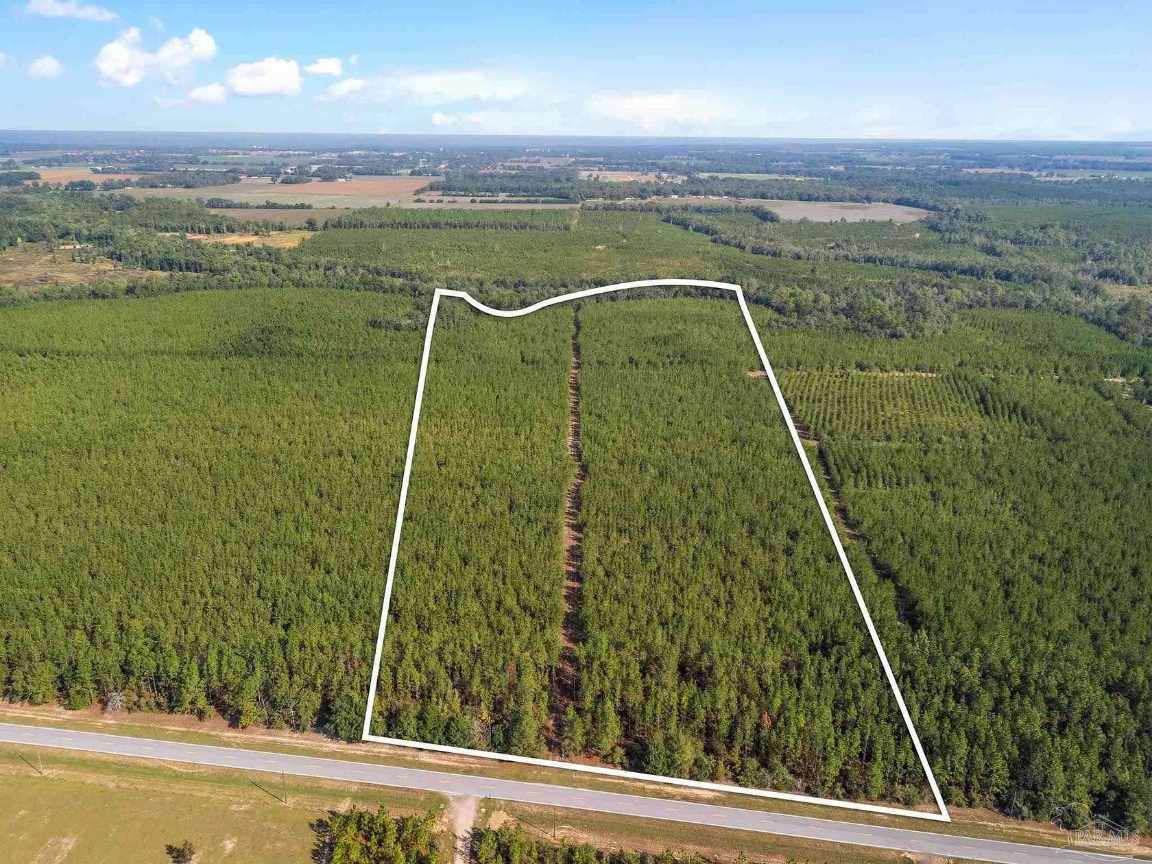 53.2 Acres of Land for Sale in Milton, Florida