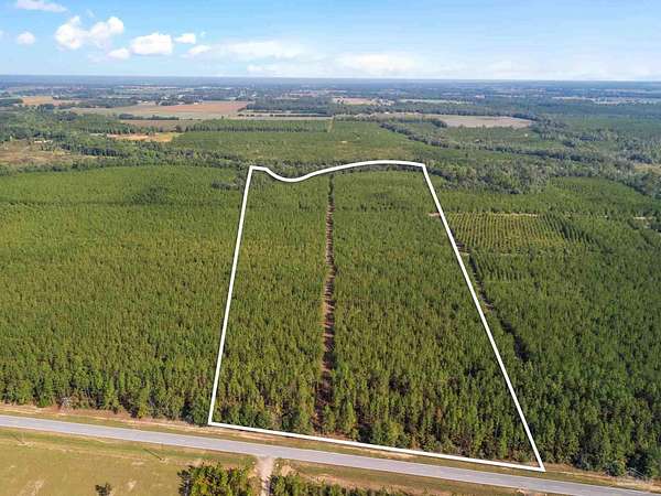 53.2 Acres of Land for Sale in Milton, Florida