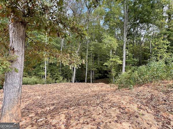 3.5 Acres of Residential Land for Sale in Oxford, Georgia