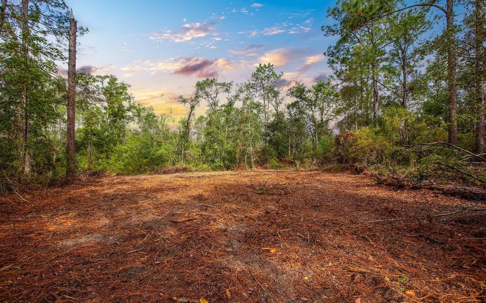 6.2 Acres of Land for Sale in Jasper, Florida