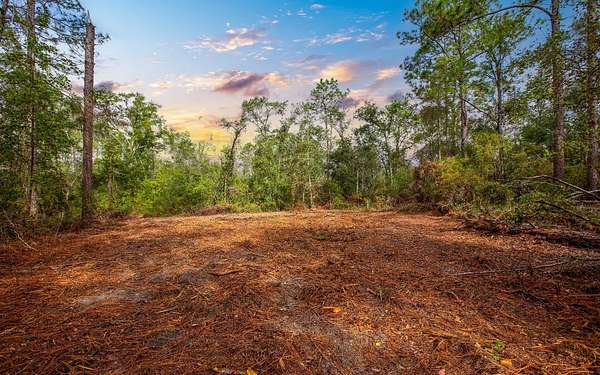 6.2 Acres of Land for Sale in Jasper, Florida