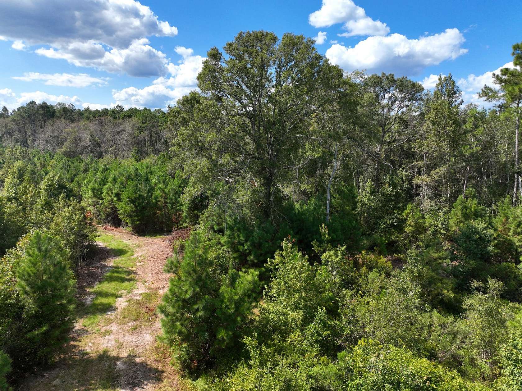 27.8 Acres of Recreational Land for Sale in Lyons, Georgia