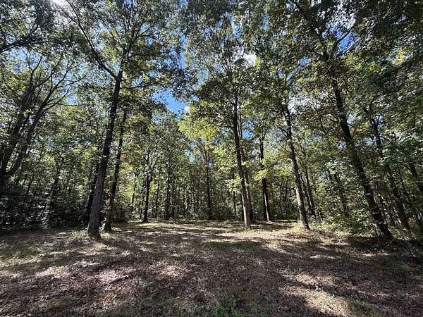 90.3 Acres of Recreational Land & Farm for Sale in Rich Square, North Carolina