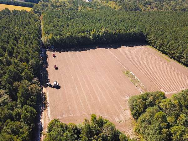 45.5 Acres of Recreational Land & Farm for Sale in Whaleyville, Virginia
