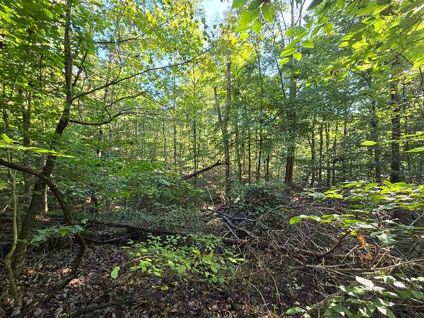 40 Acres of Recreational Land for Sale in New Albany, Indiana