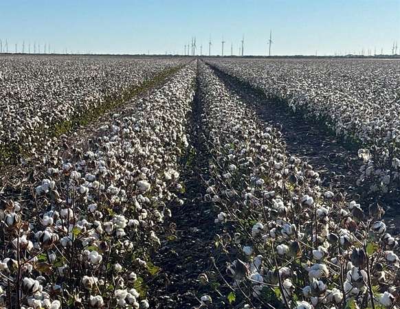 265 Acres of Agricultural Land for Sale in Weinert, Texas