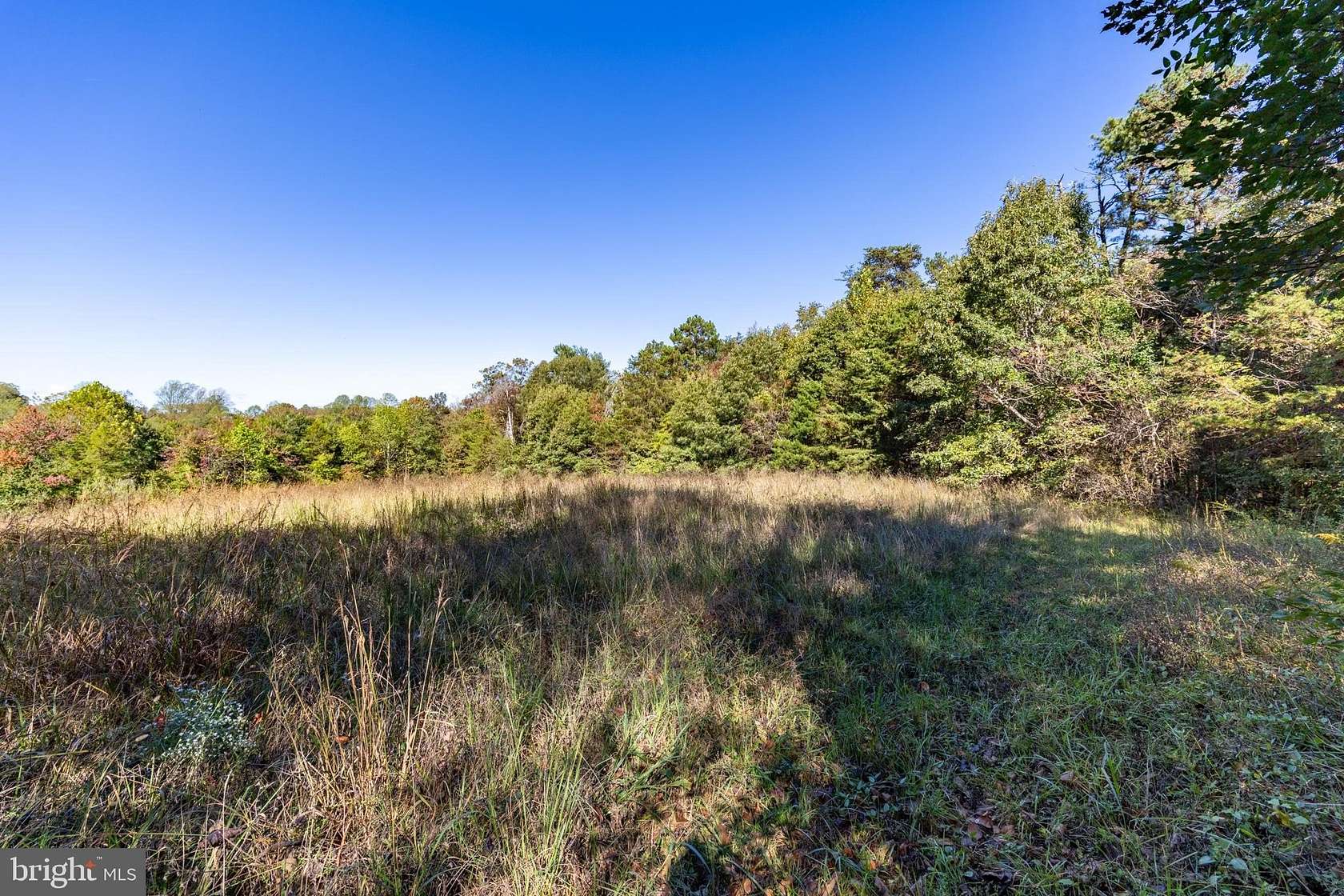 11 Acres of Land for Sale in Pratts, Virginia