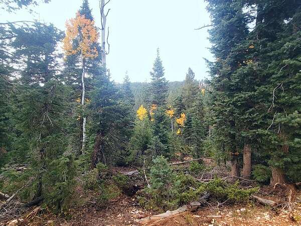 0.89 Acres of Residential Land for Sale in Duck Creek Village, Utah