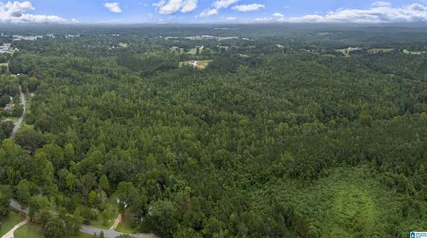 76 Acres of Recreational & Residential Land for Sale in Haleyville, Alabama