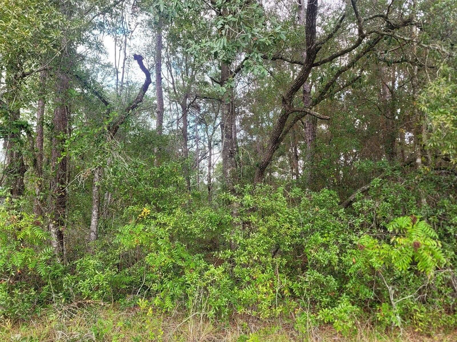 0.33 Acres of Residential Land for Sale in Citrus Springs, Florida