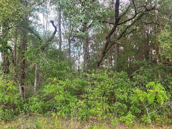 0.33 Acres of Residential Land for Sale in Citrus Springs, Florida