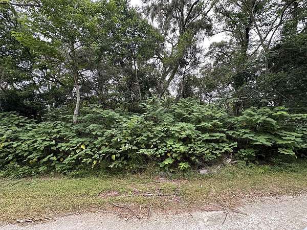 0.39 Acres of Residential Land for Sale in Brooksville, Florida
