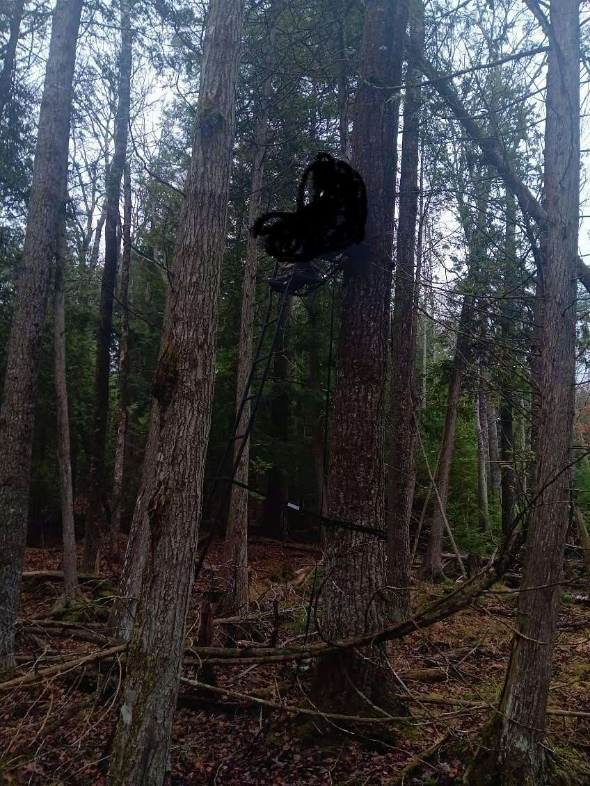 Residential Land for Sale in Bois Blanc Township, Michigan