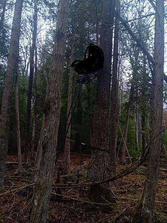 Residential Land for Sale in Bois Blanc Township, Michigan