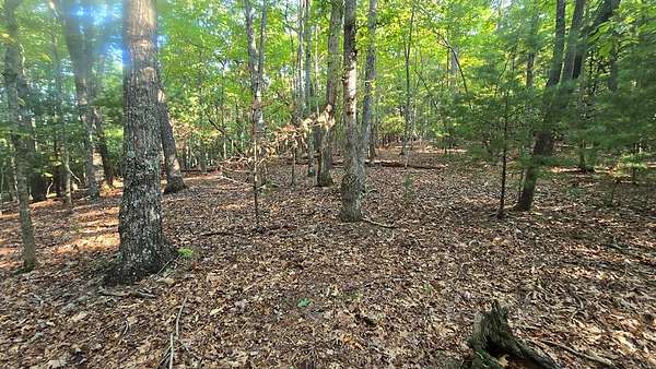 10 Acres of Land for Sale in Blairsville, Georgia