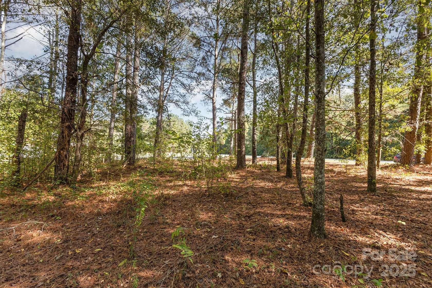 3.25 Acres of Residential Land for Sale in Jefferson, South Carolina