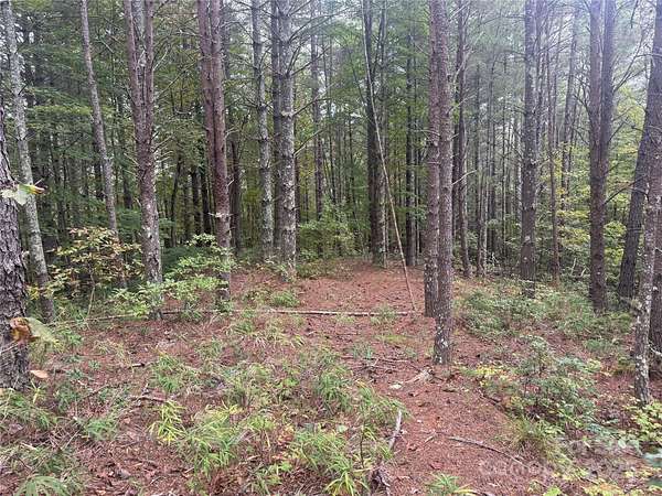 2.69 Acres of Residential Land for Sale in Nebo, North Carolina