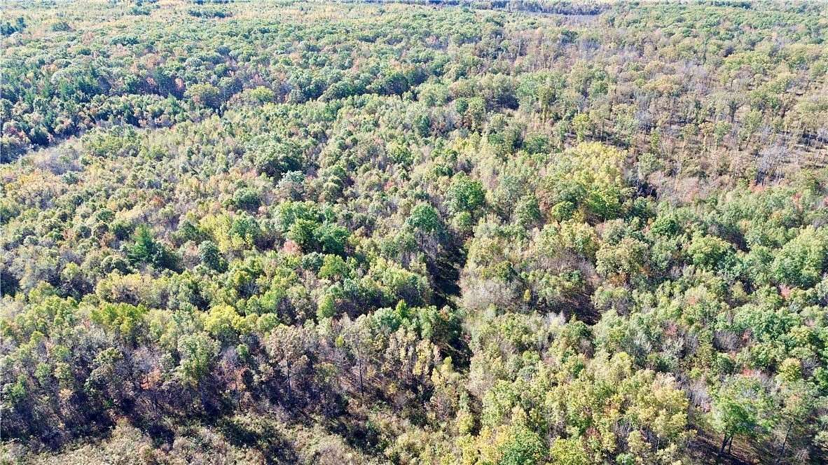 160 Acres of Recreational Land for Sale in Pittsville, Wisconsin