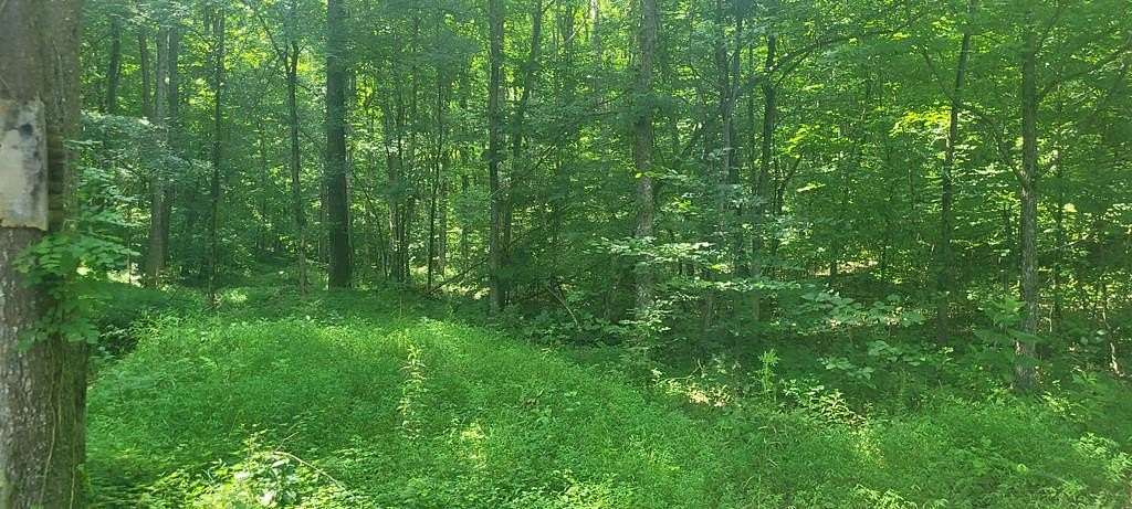 29.5 Acres of Recreational & Residential Land for Sale in Dover, Tennessee
