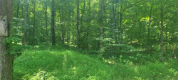 29.5 Acres of Recreational Land for Sale in Dover, Tennessee