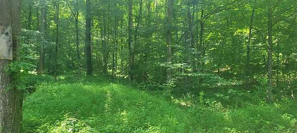 29.5 Acres of Recreational & Residential Land for Sale in Dover, Tennessee