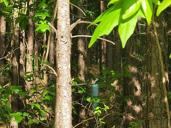 0.45 Acres of Land for Sale in Lithonia, Georgia