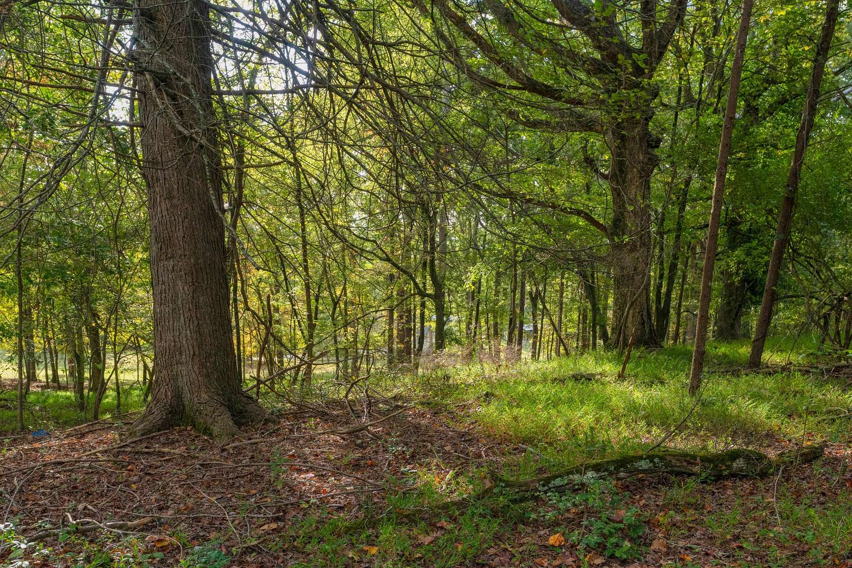 3 Acres of Residential Land for Sale in Lookout Mountain, Georgia